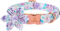 Lionheart Glory Cute Floral Pattern Adjustable Dog Collar for X-Small Dogs - Purple with Flower