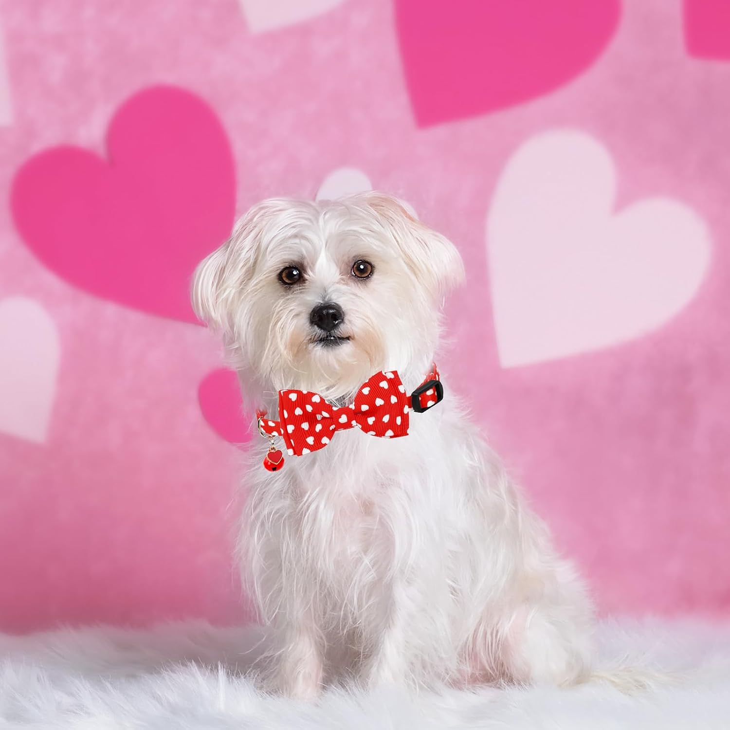 JarThenaAMCS 3Pcs Valentine's Day Cat Collar Love Heart Bowtie Collar with Breakaway Bell Red White Pink Adjustable Kitten Collars for Girl Boy Cat Small Pet