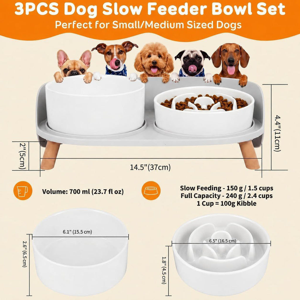 Elevated Slow Feeder Dog Bowls with Splash Proof Stand, Slow Eating 5X | 6.5″ Dog Slow Feeding Bowls & 6.1″ Dog Food Dish, Non-Slip Raised Food and Water Bowl Set for Small and Medium Breeds, White