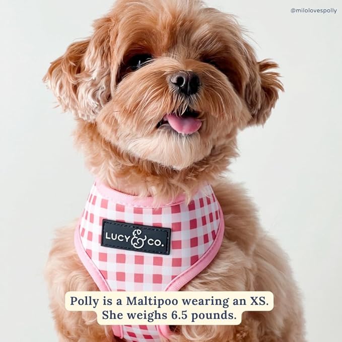 Lucy & Co. Cute Reversible Dog Harness Walking Halter - Best Designer Pet Harnesses for XS - XL Dogs - Padded Adjustable Vest for Easy Walking (Small, Ballet Bows - White & Pink Bows)