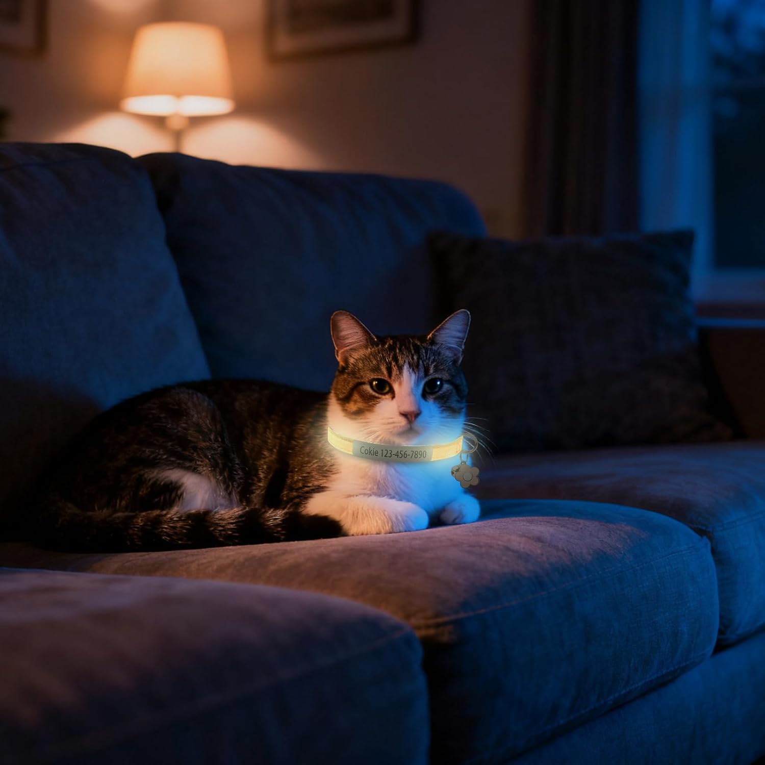 Personalised Glow in the Dark Cat Collar with Bell Flower Decoration, Custom UV-Printed Name & Phone Number, Luminous Adjustable Cat Collar Breakaway (UV-Printed)
