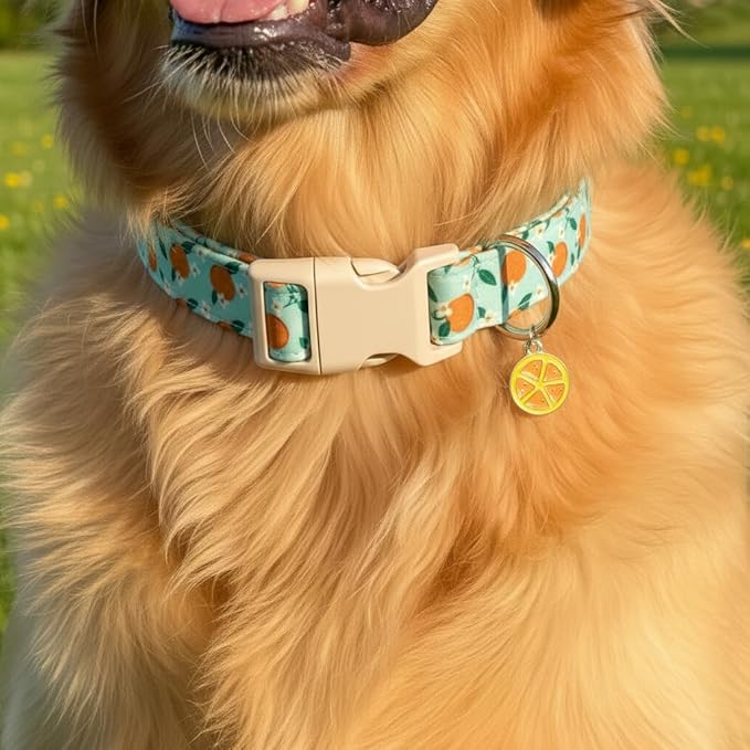 Dog Collar, Spring Summer Dog Collar with Orange Print and Charm, Cute Spring Summer Fruit Collar with Soft & Breathable Fabric, Adjustable Pet Collar for Small Dogs