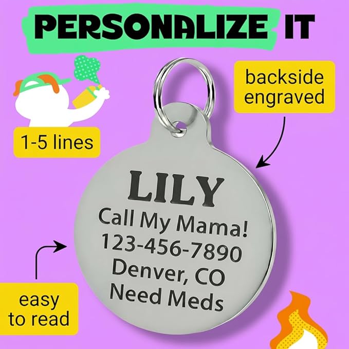 Bad Tags Personalized Dog and Cat ID Tags in 25+ Designs and 2 Sizes - 5 Lines of Custom Engraved Text - Funny Cute Personalized Pet Tags (I Bark at Karens, Large (1.25 inch))