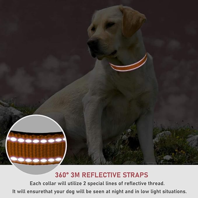 Reflective Dog Collar with Buckle Adjustable Safety Nylon Collars for Small Medium Large Dogs, Orange XXS