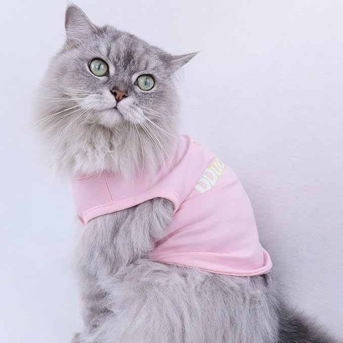 Custom Dog Shirt,Personalized Pet Apparel with Name Text Photo Image,Lightweight Breathable Puppy Kitten Cotton Vest for Small Medium Large Dogs Cats,Puppy Gift (Blue, X-Large)