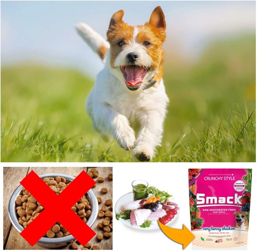 Berry Chicken Dog Food by Smack