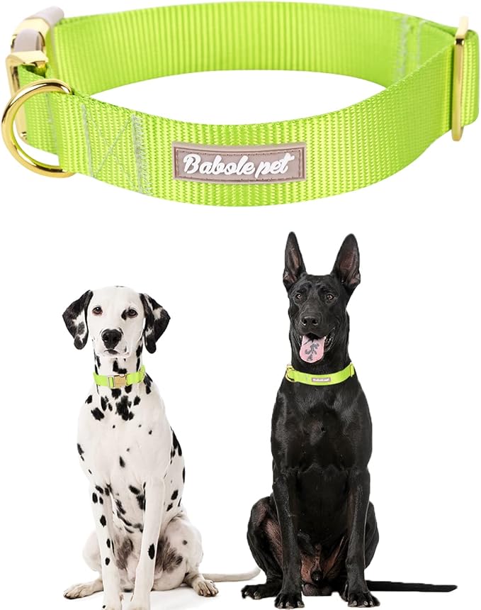 Nylon Dog Collar - Adjustable Fluorescent Green Soft Webbing Dog Collars for Small Medium Large Dogs Boy Girl Puppy Collar with Safety Metal Buckle S