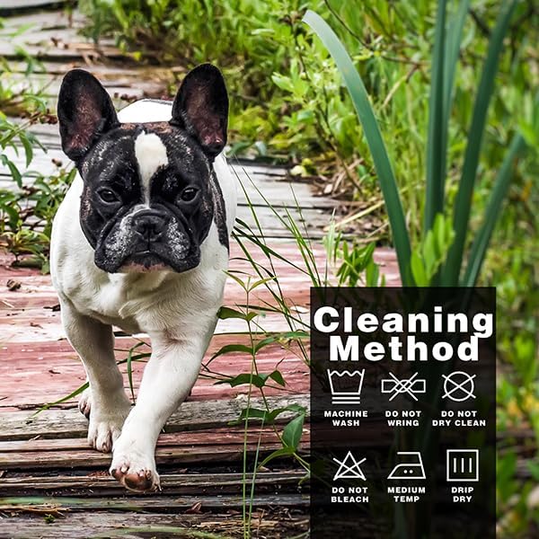 Discover Cozy Cotton Canine Wear: Soft, Lightweight, and Breathable Dog Shirt Vest with Eye-Catching Graphics(Nope not Today), Keeping Your Furry Friend Warm and Comfy! Black M