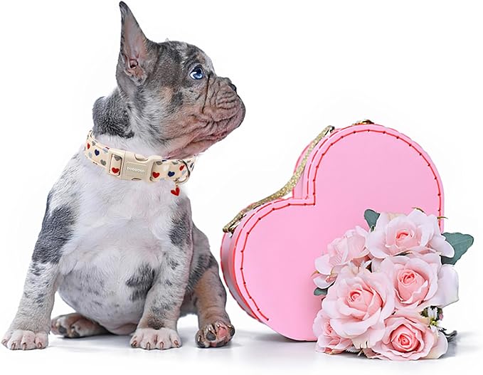 DOGWONG Valentine's Dog Collar-Hearts Print Dog Collar for Large Cute Dog Collars Spring Female Male Pet Gift Adjustable Heavy-Duty Soft Collar，S