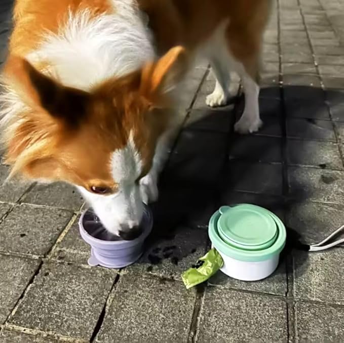 3 in 1 Collapsible Dog Bowl, Treat Container, Poop Bag Holder with 1 Roll Poop Bags – Practical Silicone Dog Bowl – Durable Pet Bowls for Travel Essentials, Daily Walks (Green)