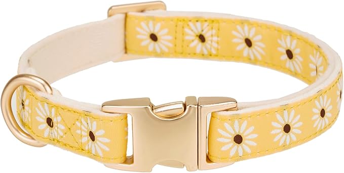 Woven Dog Collar with Metal Buckle Adjustable Jacquard Retro Dog Collars for Small Medium Large Dogs(Daisy,M)