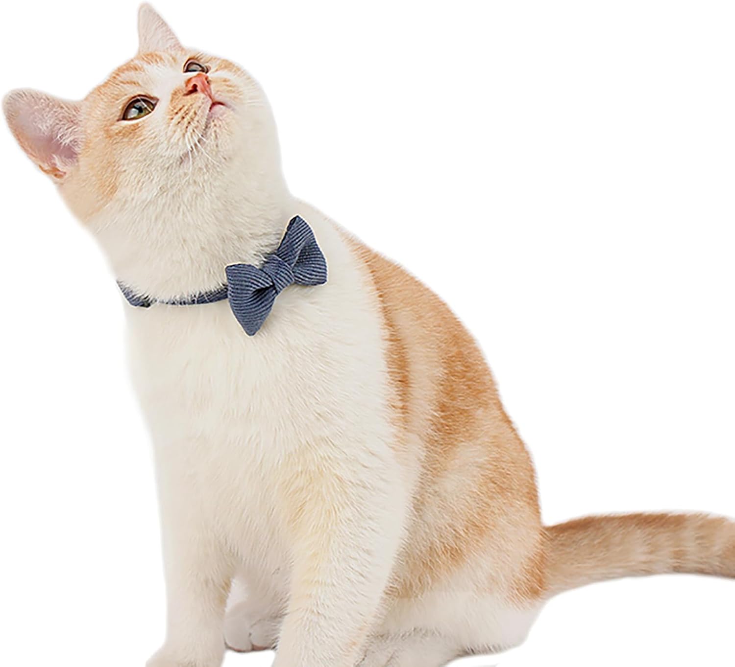 Cat Collar with Bells, Safety Quick Release Breakaway cat Collars with 2 Bows in, 1 Pack Girl Boy Kitten Collar,Adjustable 20-30cm (Black, 20-30cm)