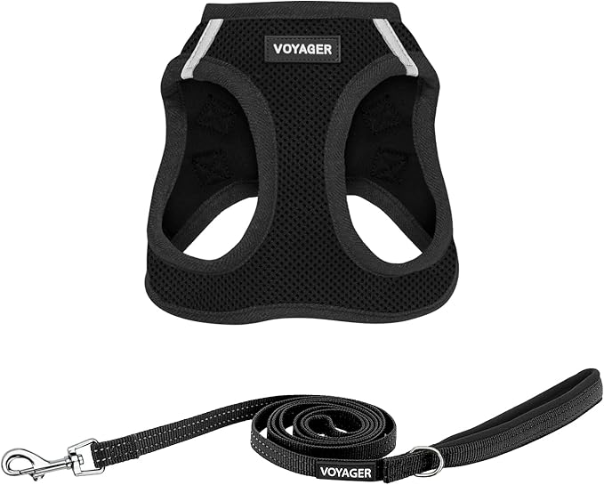 Best Pet Supplies Voyager Step-in Air All Weather Mesh Harness and Reflective Dog 5 ft Leash Combo with Neoprene Handle, for Small, Medium and Large Breed Puppies - Set (Black), S