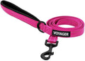 Best Pet Supplies Voyager Reflective Dog Leash or Collar with Neoprene Handle, for Small, Medium, and Large Breed Puppies, Cute and Heavy Duty for Walking, Running and Training - Fuchsia (Leash), M