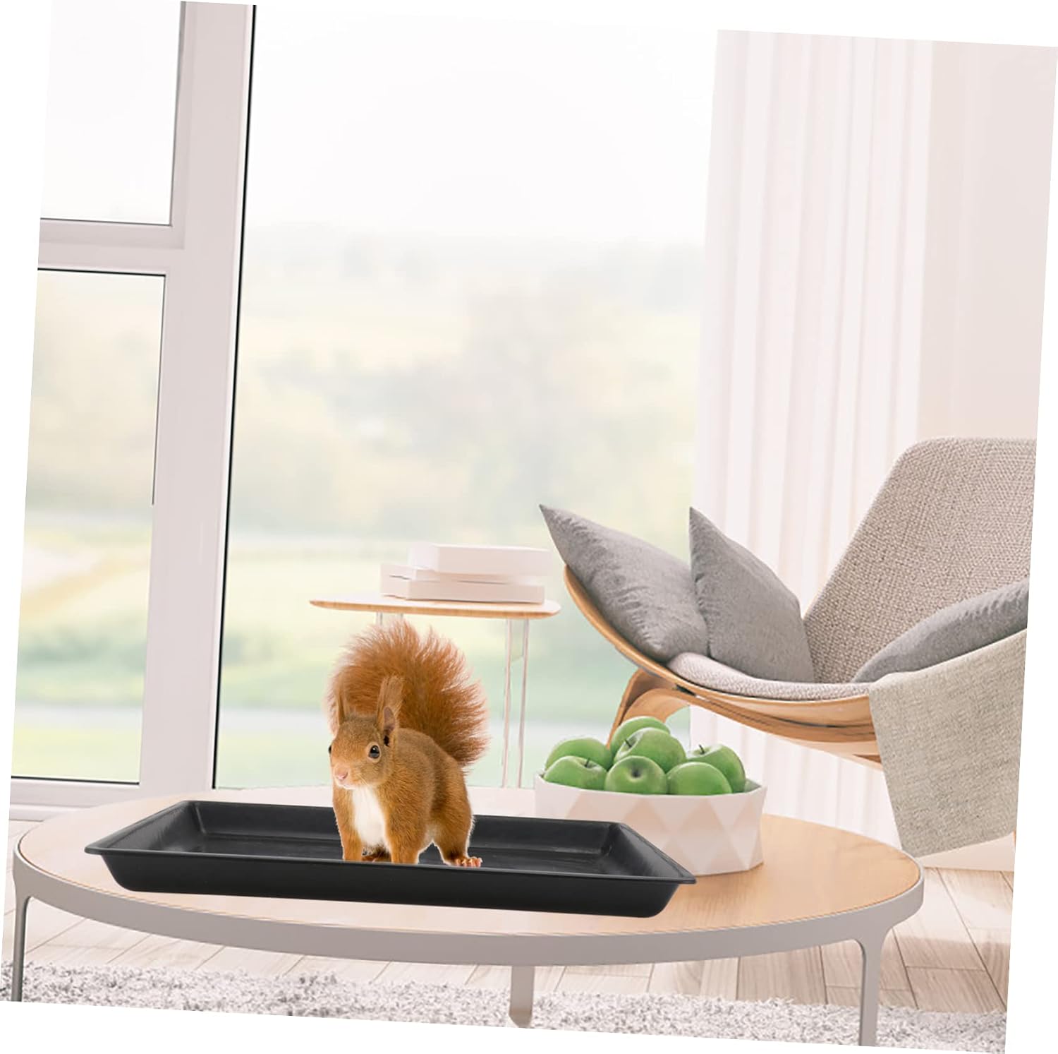 1pc Pet Cage Tray Plastic Pet Potty Tray for Cats Dogs and Replacement Base for Cages for Use Helps Develop Toilet Habits
