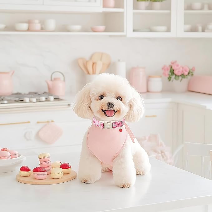 Strawberry Bow Dog Collar for Small Dogs - Cute Pink Spring/Summer Girl Dog Collars, Lightweight Adjustable Female Girly Dogs Collars with Quick Release Buckle S