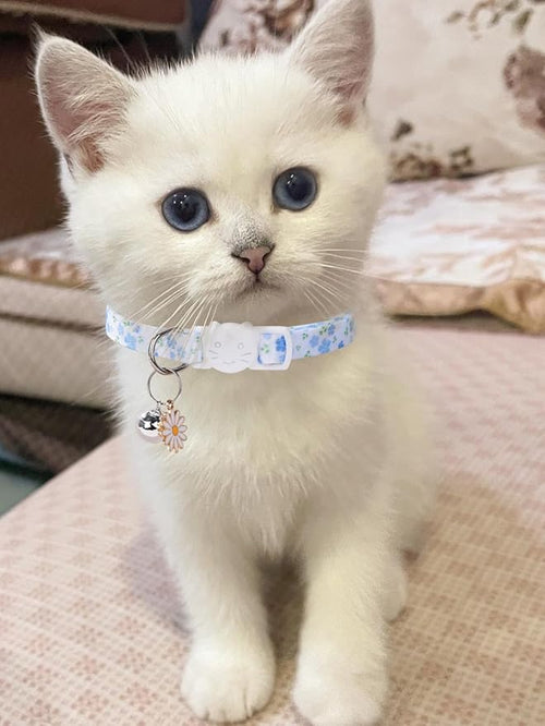 10PC Floral Cat Collar Set with Bells - Breakaway Safety for Kittens and Small Cats (#1)