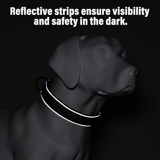 Plutus Pet Tactical Dog Collar, Reflective, Adjustable Heavy Duty Dog Collar, Soft Padded and Comfortable, for Small Medium and Large Dogs (Cyan, M)