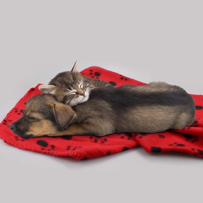 Comsmart Dog Blankets for Small Dogs, 6 Pack Puppy Blanket Cute Paw Print Pet Blanket for Dog, Puppy, Cat, Kitten, 24x28 inches, Red