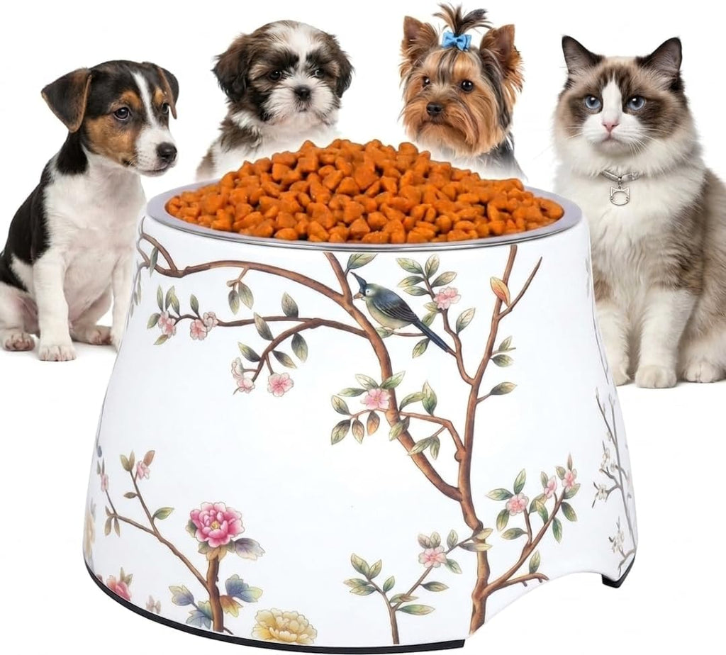 Ceramic pet Bowl 5 inch Height for Cats and Small Dogs & Toy Breeds | For cats and (10-25lbs)small dogs 2cup (540ml) food feeder, 304 food-grade stainless steel bowl, non-slip ceramic base, white