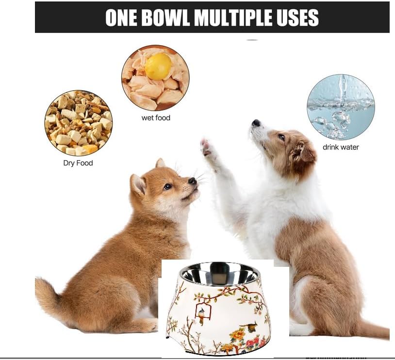 Ceramic pet Bowl 5 inch Height for Cats and Small Dogs & Toy Breeds | For cats and (10-25lbs)small dogs 2cup (540ml) food feeder, 304 food-grade stainless steel bowl, non-slip ceramic base, white