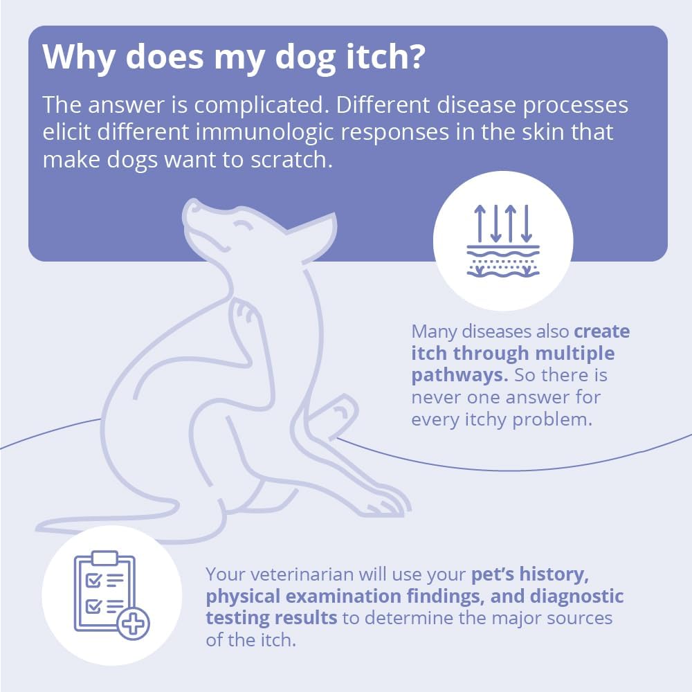 MiconaHex+Triz Shampoo for Dogs, Cats and Horses, 8 oz | Antibiofilm, Moisturizing; Packaging May Vary