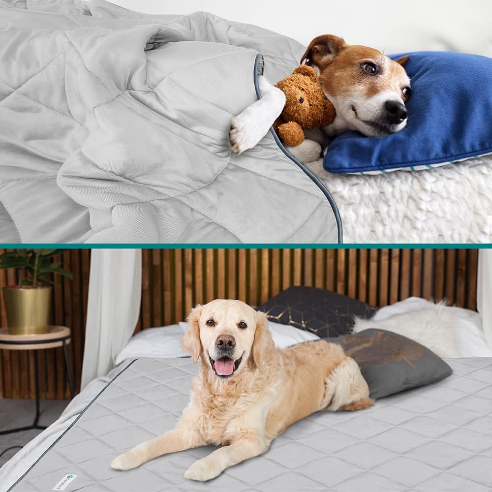 PetAmi Premium Cooling Dog Blanket | Lightweight Fluffy Pet Throw Blanket Bed Cover for Dogs, Cat, Puppies | Pet Blanket Furniture Protector Couch Sofa | Reversible Fuzzy Cozy | 24x32, Light Grey
