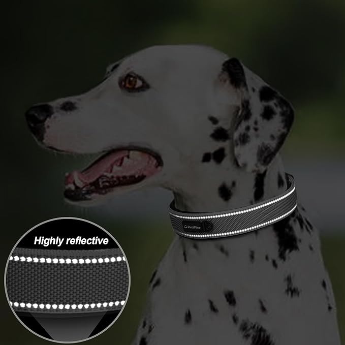 PetiFine Dog Collar for Large Dogs, Neoprene Padded and Adjustable, Reflective Wide Heavy Duty Pet Collars with Durable Metal Belt Buckle for Walking, Grey, XL