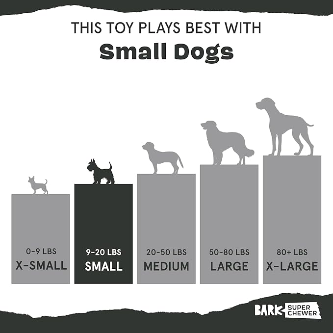 Barkbox Super Chewer Tough Dog Chew Toys for Aggressive Chewers, Dental Stimulating (Turkey - Small)