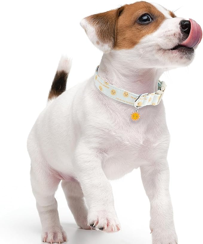 Faygarsle Sunshine Pattern Dog Collar, Adjustable Cotton Fabric, Cute Design for Small Medium Large Dogs S