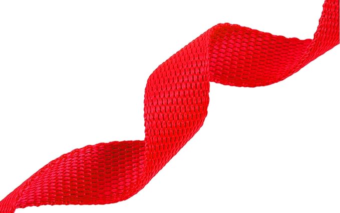 AmaGood Dog/Puppy Obedience Recall Training Agility Lead-15 ft 20 ft 30 ft 50 ft Long Leash-for Dog Training,Recall,Play,Safety,Camping (50feet, Red)