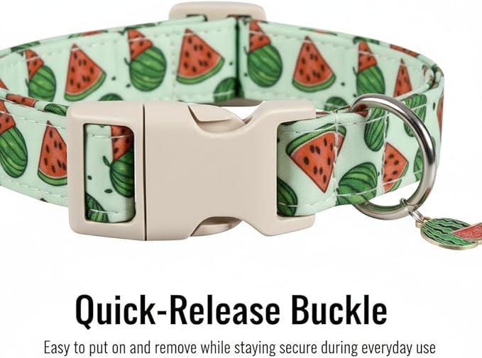 Dog Collar for Small Dogs, Summer Dog Collar with Watermelon Print and Charm, Adjustable Pet Collar for Girl Boy Dogs