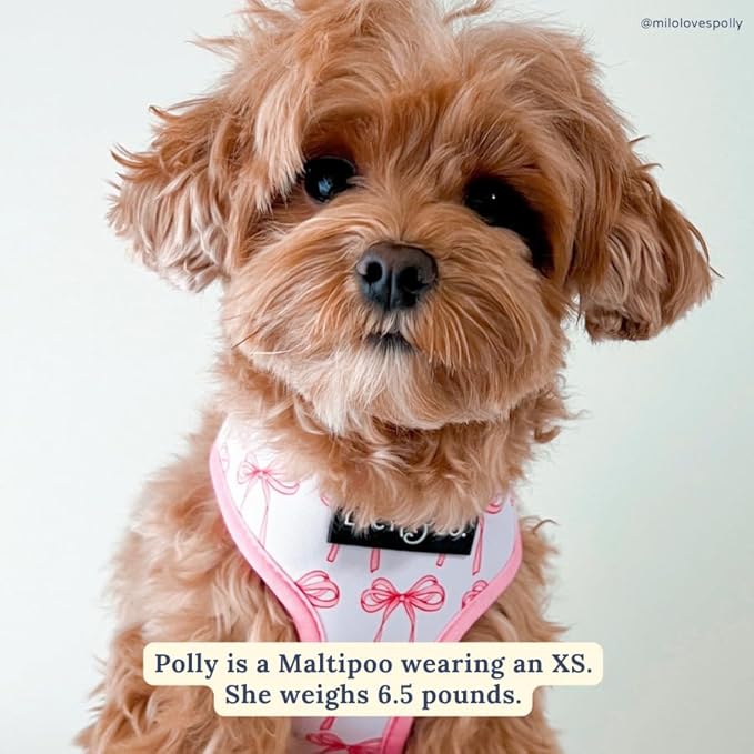Lucy & Co. Cute Reversible Dog Harness Walking Halter - Best Designer Pet Harnesses for XS - XL Dogs - Padded Adjustable Vest for Easy Walking (X-Large, Ballet Bows - White & Pink Bows)