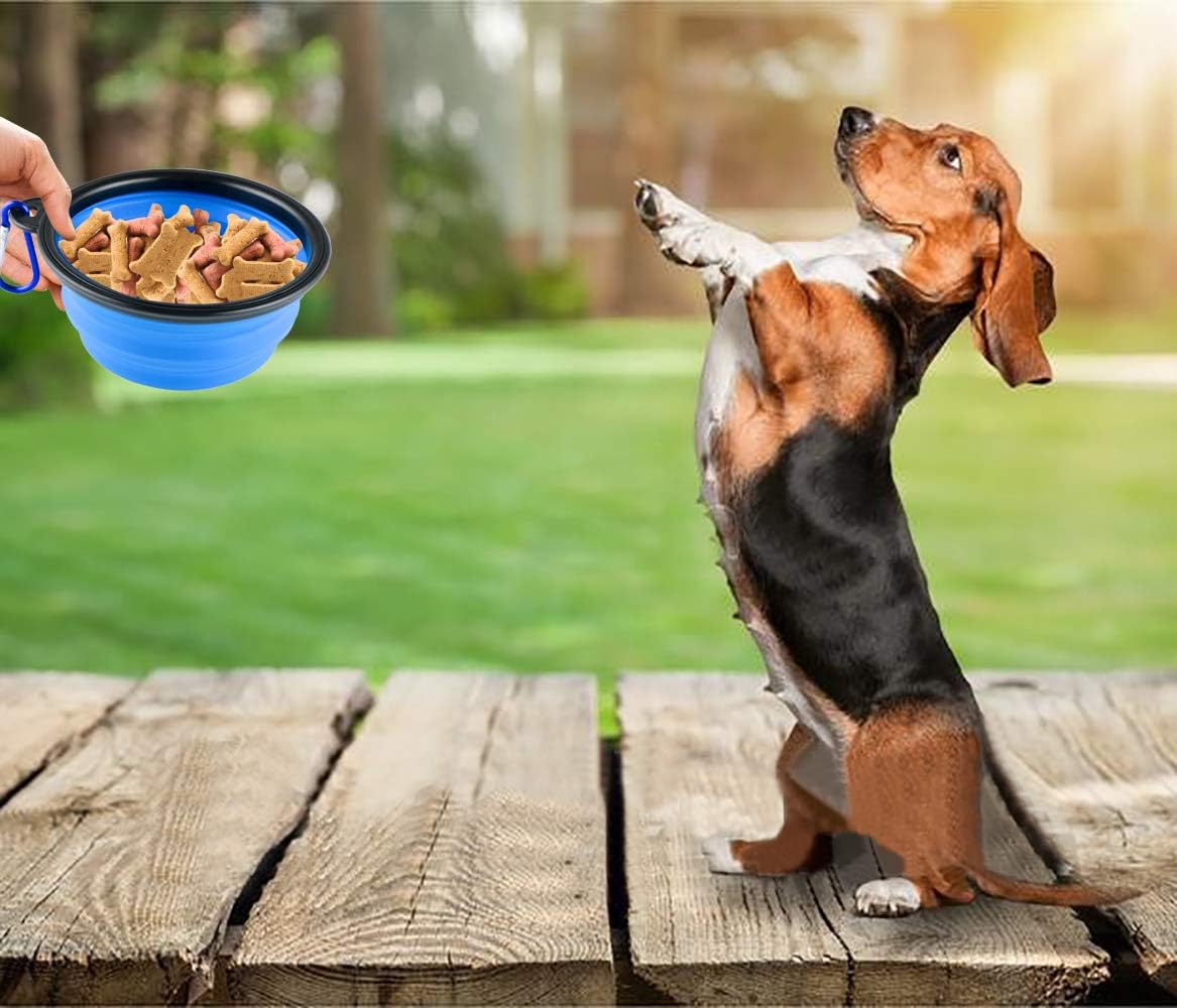 Collapsible Silicone Dog Bowls, 3-Pack Travel Pet Food Water Bowls | Orange, green & blue. 5.1 in wide, 2.1 in tall, folds to 0.5 in. Holds 12 oz water or 1.5 cups food. Includes ID tag.