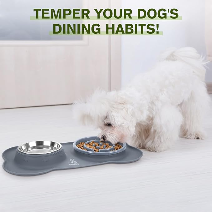 Pecute Slow Feeder Dog Bowls to Slow Down Eating, Dog Bowl Slow Feeder with No-Spill Non-Skid Silicone Mat, Food-Grade Safe Dog Food Bowls Slow Feeder, Stainless Steel Dog Water Bowl for Dogs Cats
