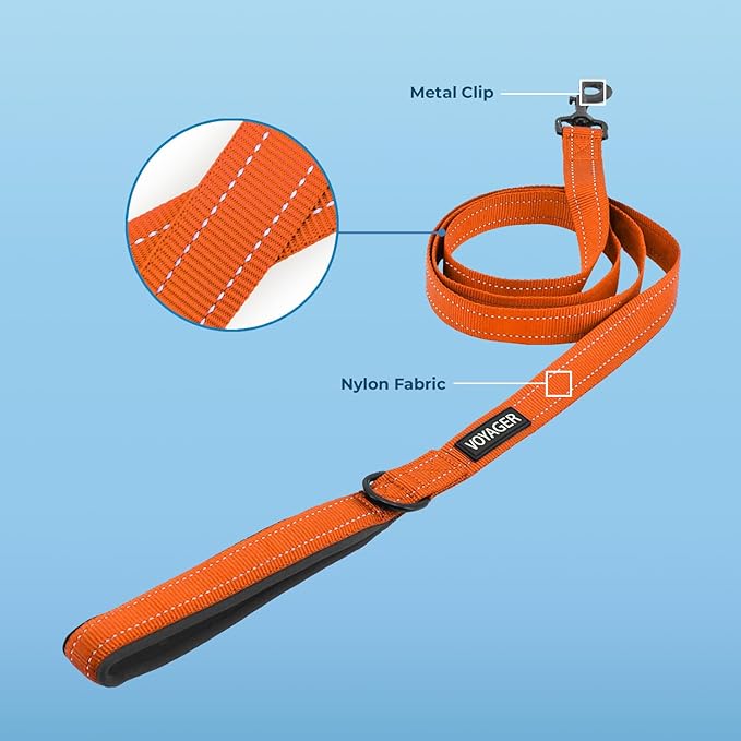 Best Pet Supplies Voyager Reflective Dog Leash or Collar with Neoprene Handle, for Small, Medium, and Large Breed Puppies, Cute and Heavy Duty for Walking, Running and Training - Orange Leash, L