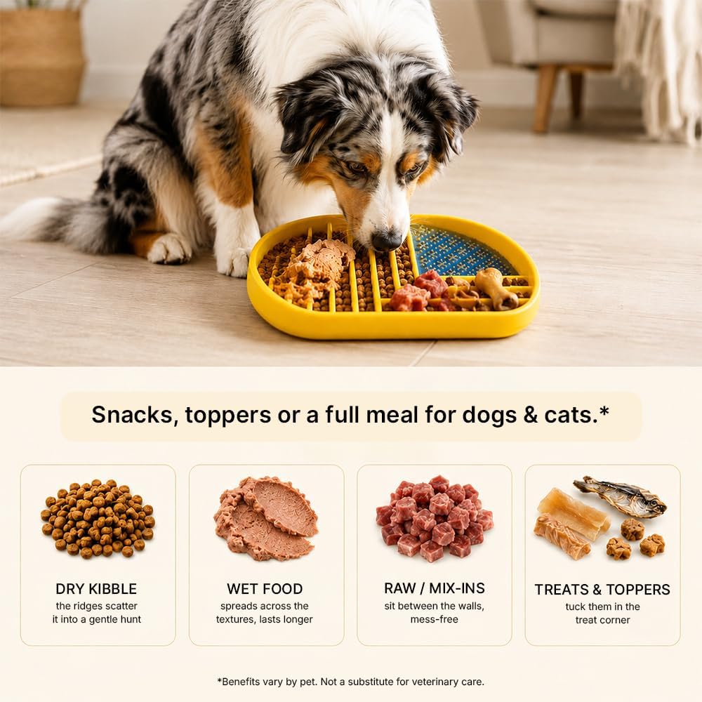 Snack Dish Slow Feeder Bowl for Dogs & Cats – Dual Pattern Design with Treat Corner, Mess-Free Feeding, Dishwasher Safe | Kubi Pets