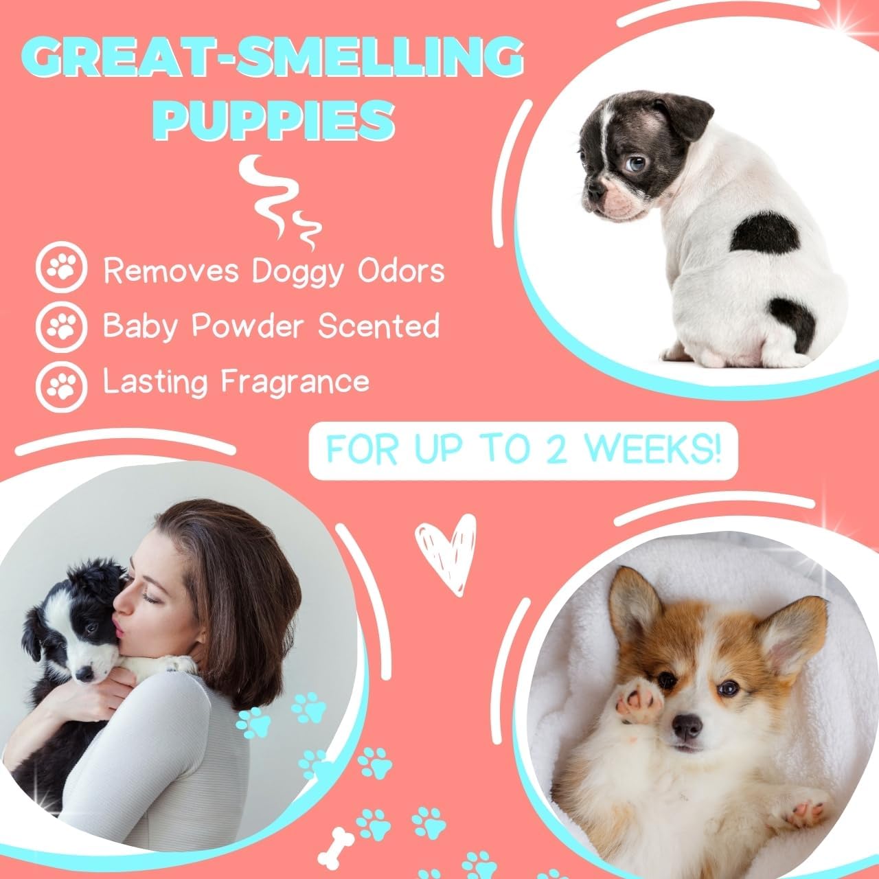 Puppy Grooming Natural Dog Shampoo and Conditioner with Aloe Vera, pH balanced Shampoo for Dogs, Tear-Free, Moisturizing Dog Shampoo for Sensitive Skin - 26.4 Oz