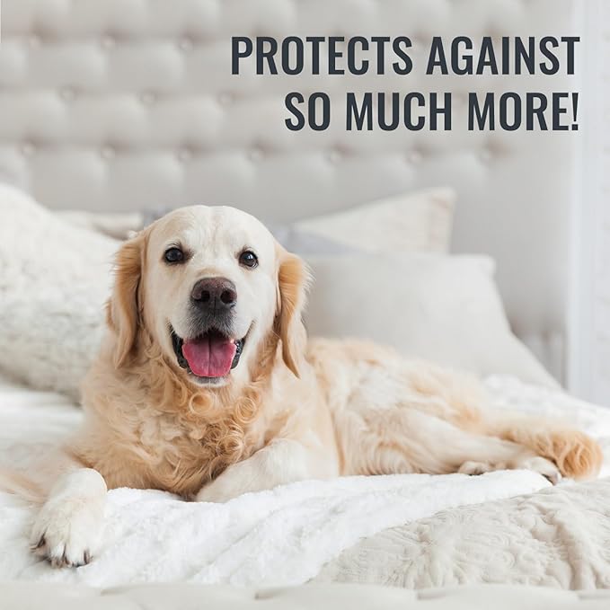 DMI Queen Size Waterproof Mattress Protector - Fitted, Noiseless Mattress Cover, Soft and Breathable, 60" x 80"x 15", White