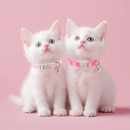 2 Pack Pink Cat Collars - Spring Summer Breakaway Cat Collar with Bell, Bow and Flower Pendant, Adjustable Kitten Collars for Girl Cats, Cute Pink Plaid &Bow