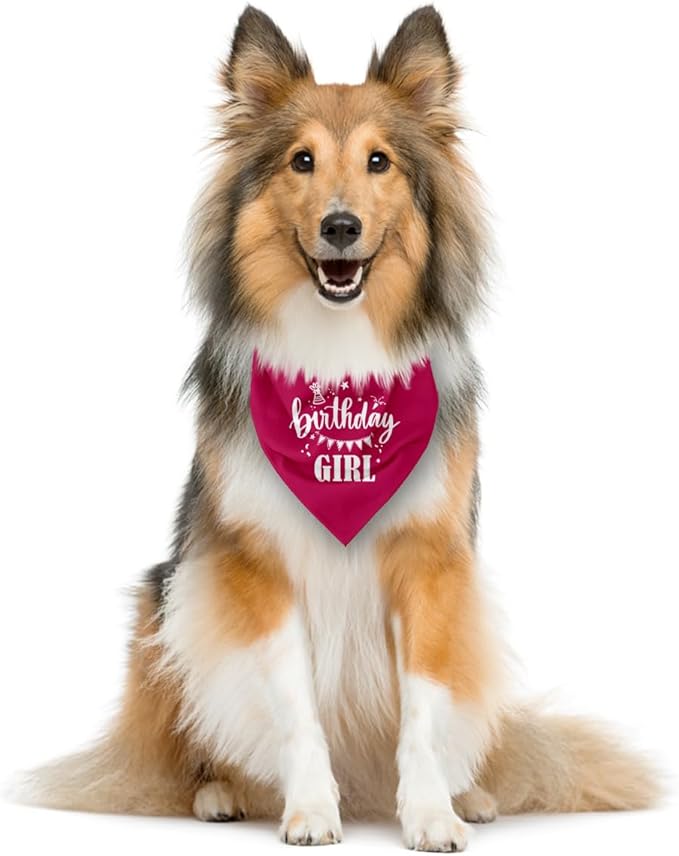 Birthday Girl Dog Bandana, Deep Pink Dog Bandana, Funny Cute Dog Bandana, Pet Dog Triangle Scarf, Pet Dog Scarf Accessories, Girl Dog Bandana, Dog Bandana for Small Medium Large Dogs (E53)