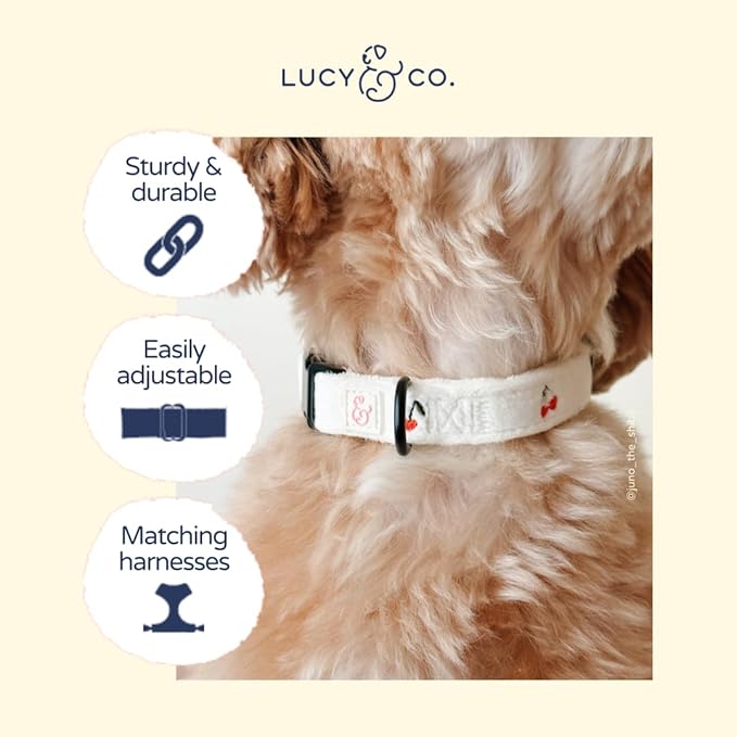Lucy & Co. Silly Goose Dog Collar, Adjustable Durable Dog Collar with Cute Print, Medium