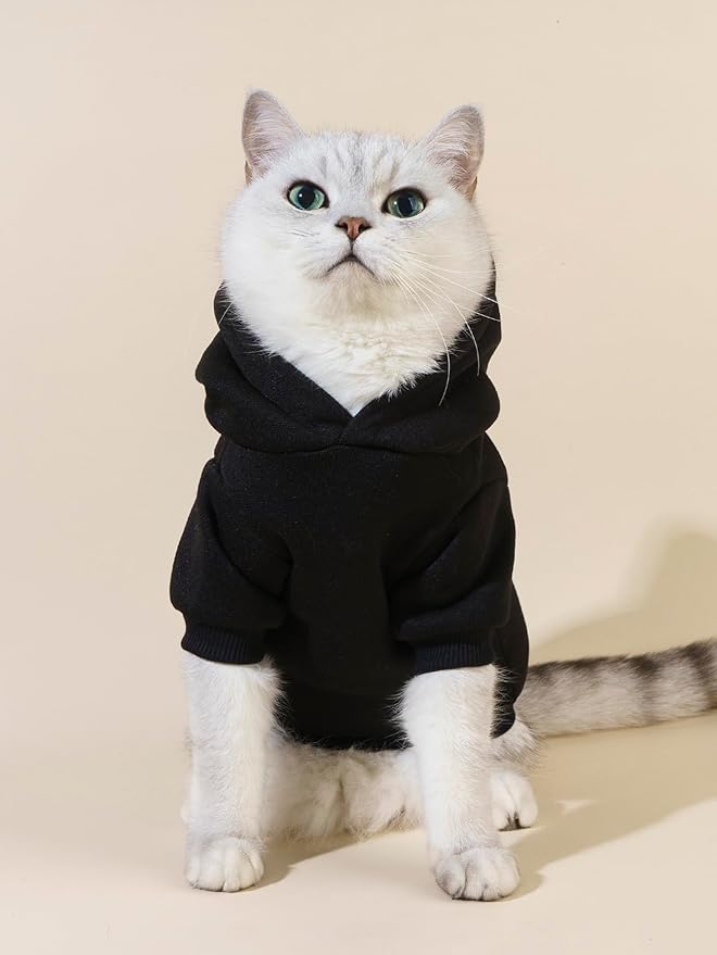 QWINEE Cartoon Bear Print Cat Hoodie Breathable Stretchy Sweatshirts with Hat Warm Cat Clothes for Small Medium Large Cats Dogs Multicolor XS