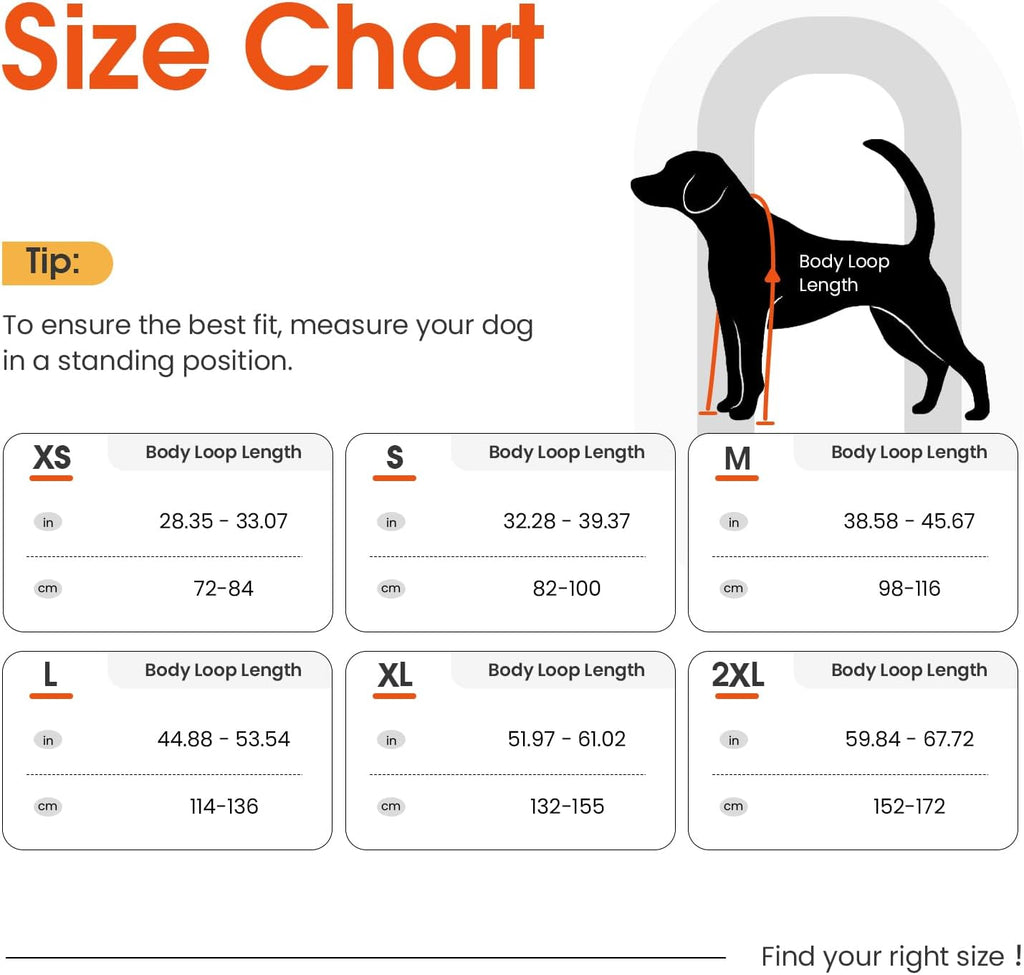 Waterproof Dog Suspender Boots Non-Slip for Small Medium (Black L | Dog Paw Protectors for Outdoor Walking Stay-On,Dirt-Proof Comfortable Booties