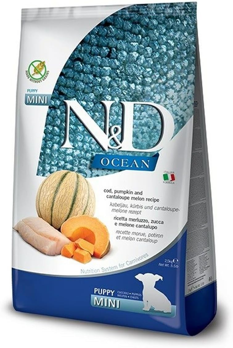 Cod, Pumpkin and Cantaloupe Melon Puppy Mini