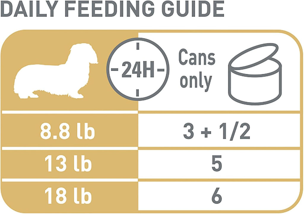 Royal Canin Dachshund Adult Wet Dog Food, 3 oz, 6-Pack | Muscle Support with L-Carnitine, Muscle Tone Support, For Adult Dachshunds 10+ Months, Loaf in Sauce