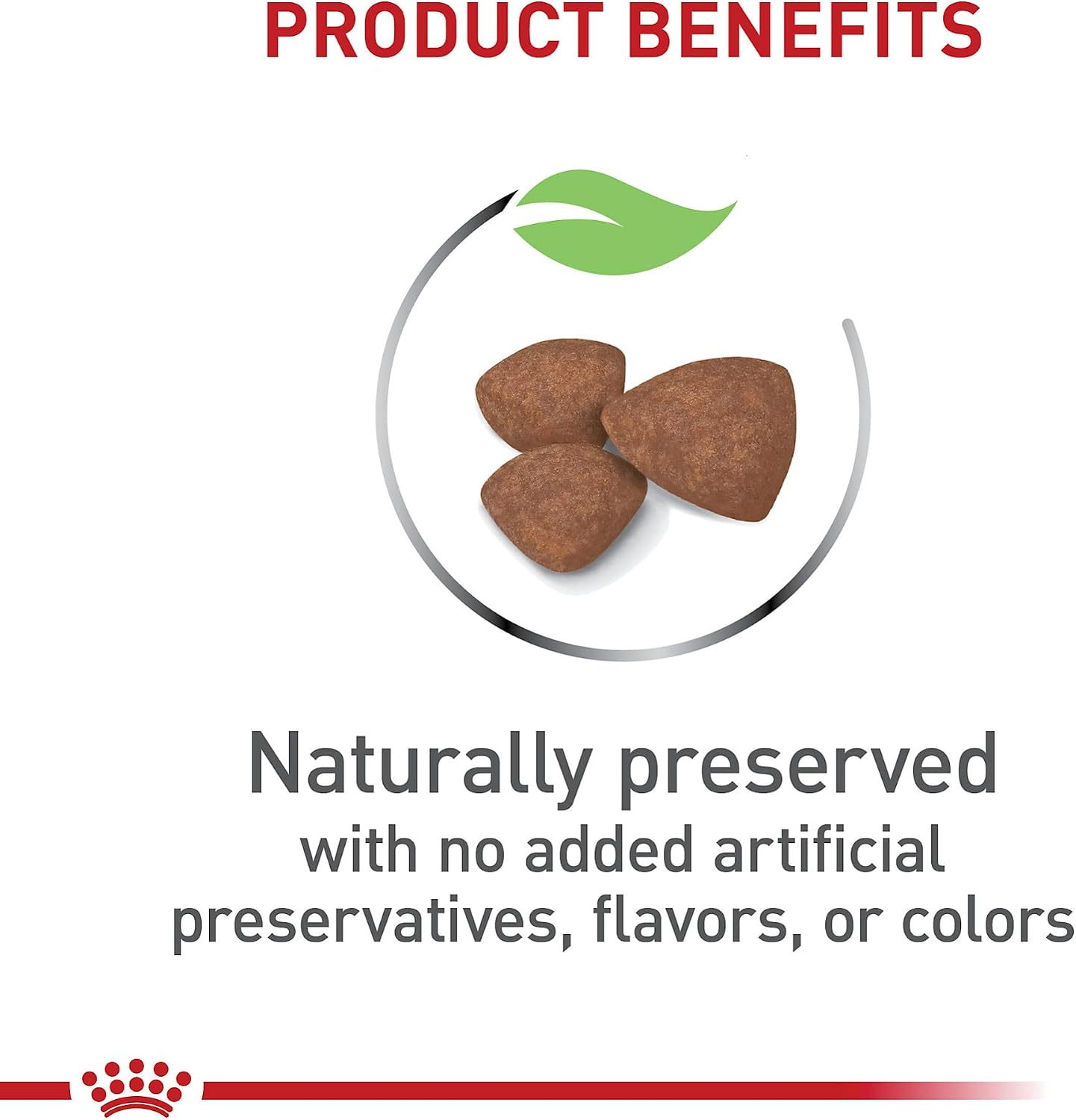 ROYAL CANIN Size Health Nutrition Small Puppy Dry Dog Food, 14 lb Bag | Supports Growth and Development, Specially Sized Kibble, Tailored Nutrition for Small Breeds, 14 lb Bag