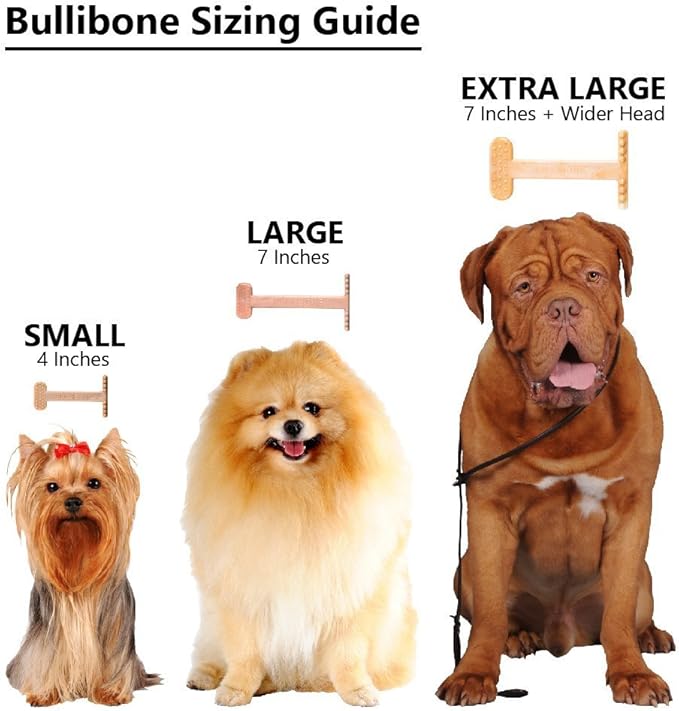 Bullibone Nylon Dog Chew Toy for Aggressive Chewers - Dental Hygiene Bone with Bacon Flavor, Durable Tough Chew Toys for Extra Large Dogs, Indestructible Dog Bone - 3 Pack