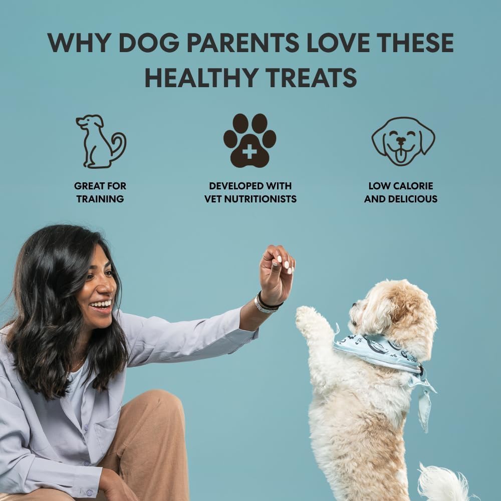 Bundle of Chicken Grain-Free Air-Dried Dog Treats, 5-Ounce Bag Probiotic Soft Chews Duck Flavored Gut Health Supplement for Dogs, 60 Chews (Pack of 2)