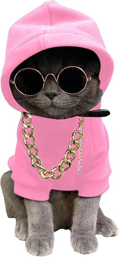QWINEE 3Pcs Dog Hoodie Cat Apparel Dog Custume Set with Necklace and Sunglasses Pet Clothes for Puppy Small Medium Dogs Cats Light Pink Small